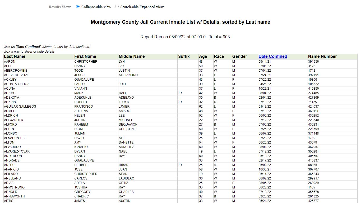 Jail Roster